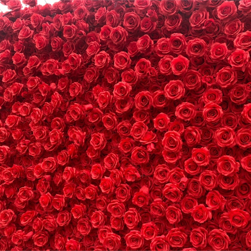 Uflower Red Rose 5D Cloth Flow - đánh giá và giá Wedding Backdrop Curtain