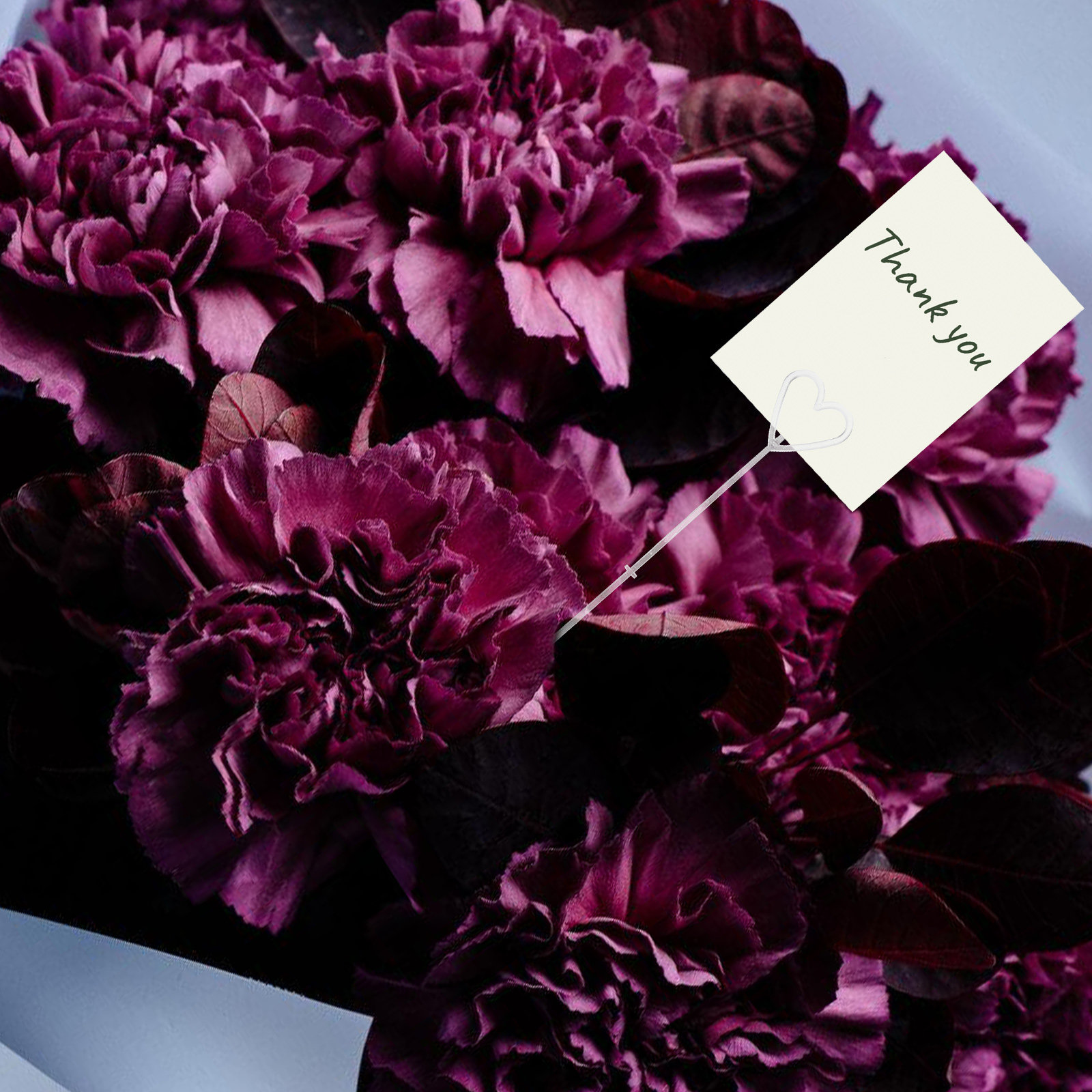 80Pcs Floral Pick Card Holders - đánh giá và giá Wedding Floral Supply