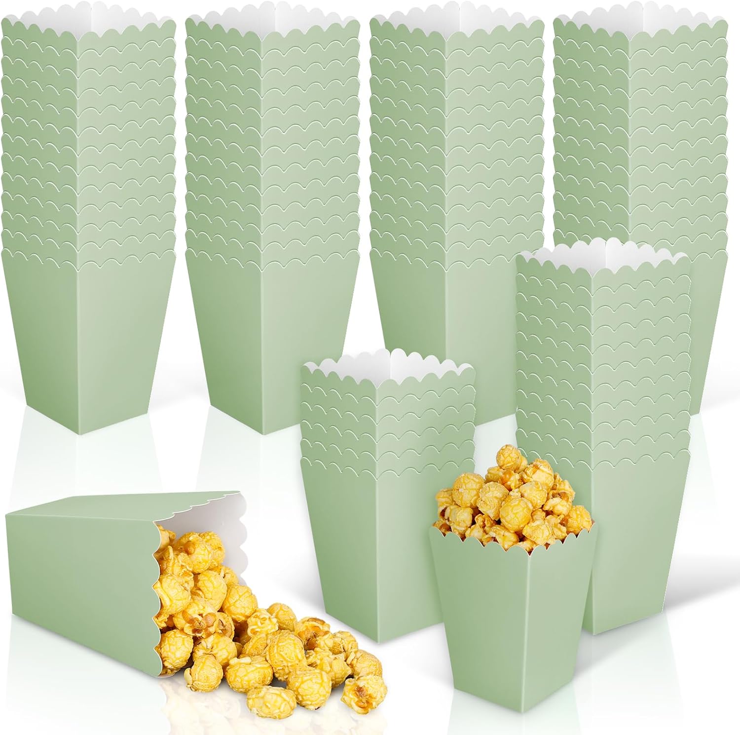 12 pcs  Sage Green Mini Popcor - đánh giá và giá Wedding Supply.Box