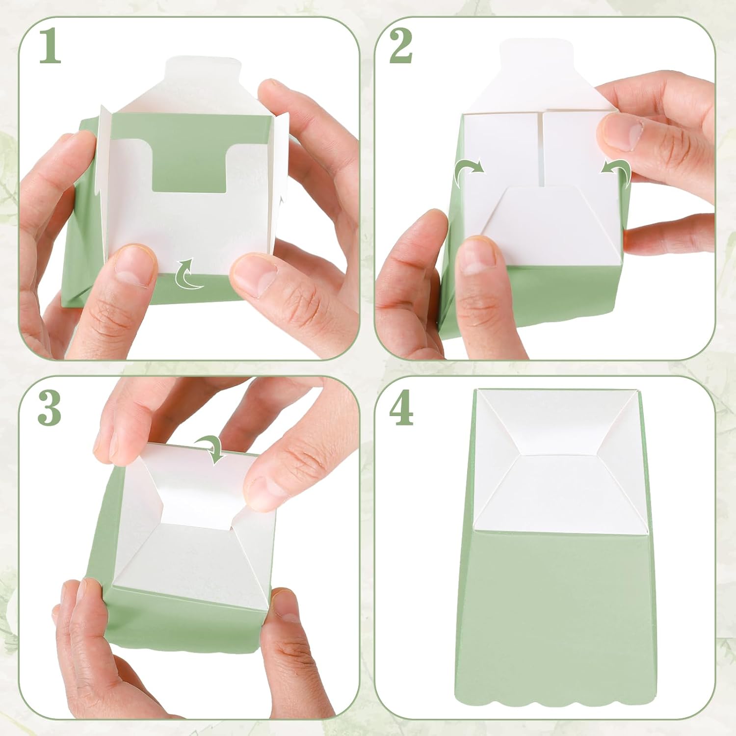 12 pcs  Sage Green Mini Popcor - đánh giá và giá Wedding Supply.Box
